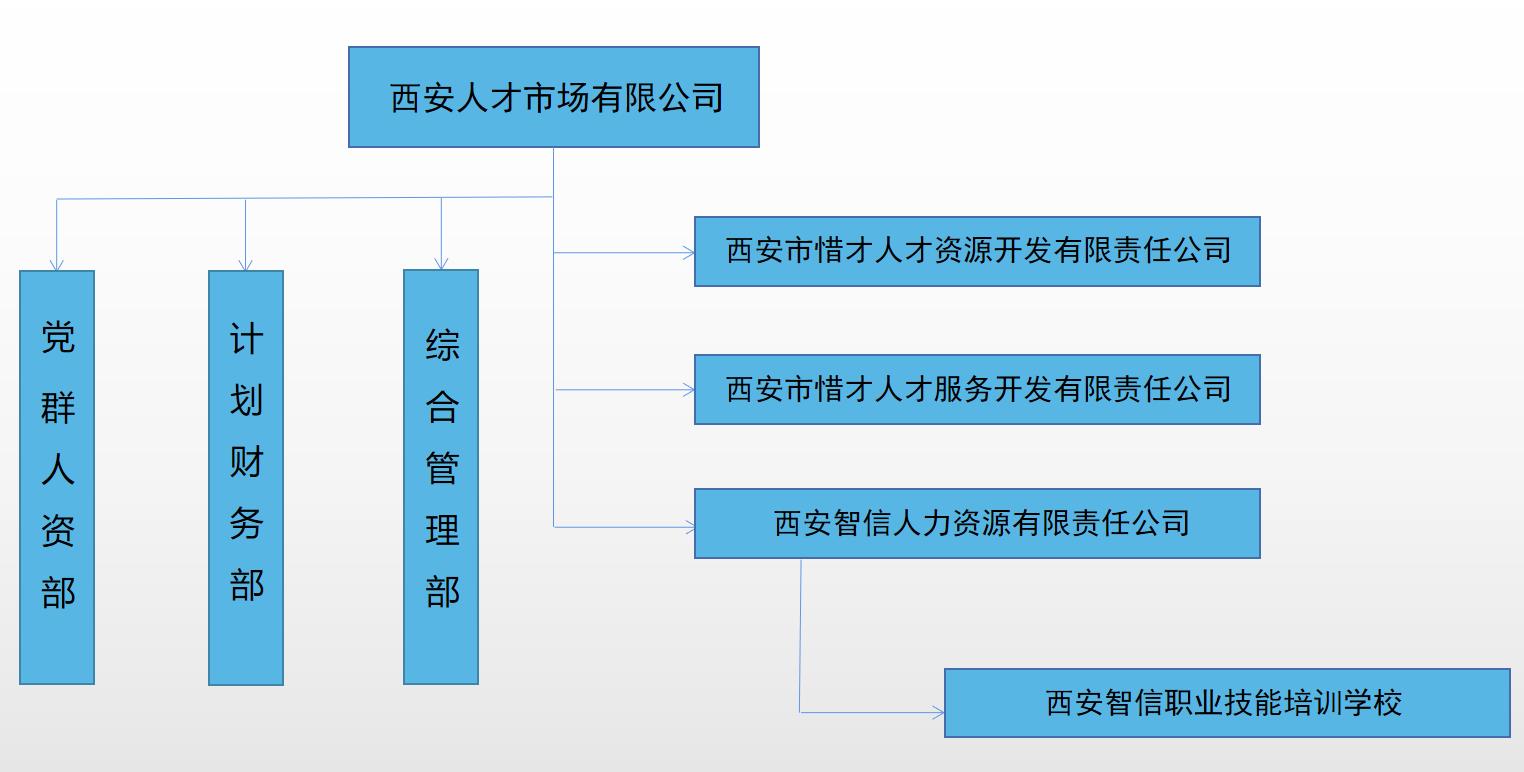 組織.jpg